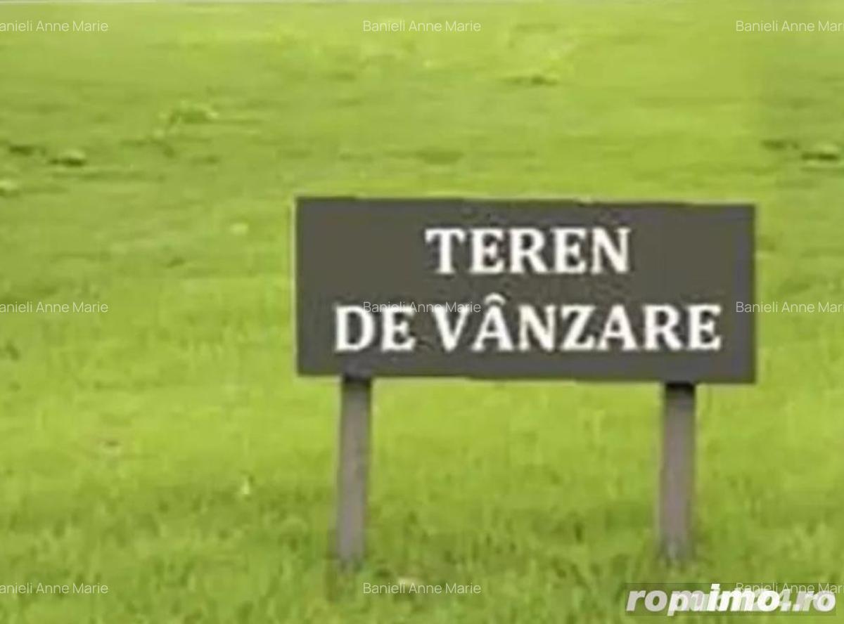 Mosnita Noua/teren- 2 ha  intre case/fs-50ml /pret 35 euro/mp - 1