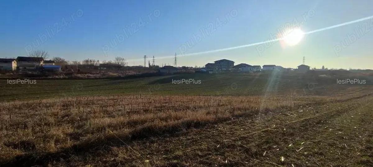 Teren + drum de acces gratis Peris - Ilfov cu gaz, canalizare, apa, curent - la 30 minute de Baneasa - 2