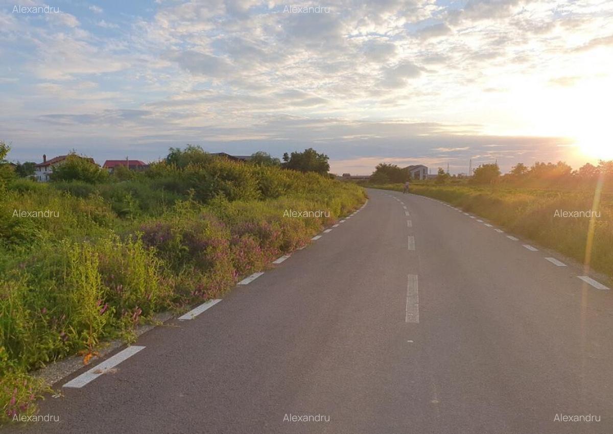 Teren Balotesti,langa case noi-50 m de asfalt 600mp - 6