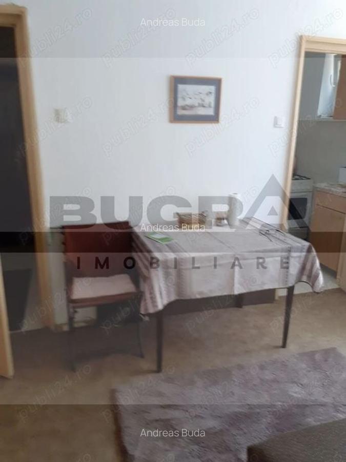 Apartament 2 camere,  28 mp, zona strazii Albac - 2