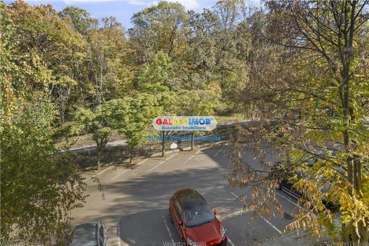 Vanzare apartament 4 camere 133 mp,Baneasa Greenfield vedere padure - 22