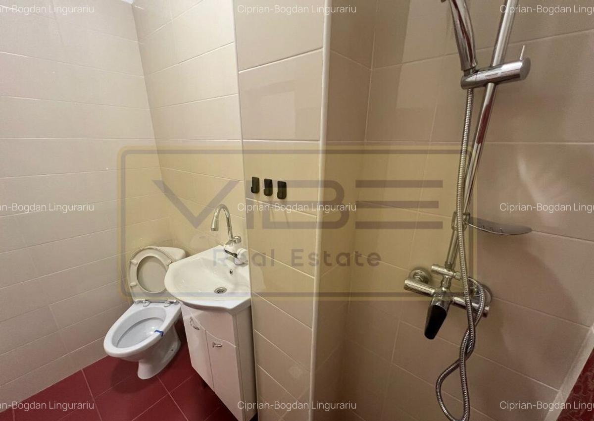 Spatiu de birou/comercial Bd. Independentei - Spiridon - 8