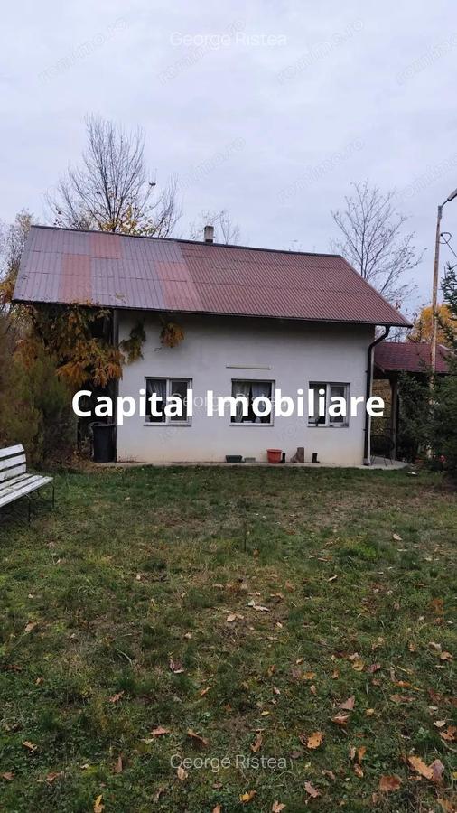 Casa Baicoi 95 mp Sc, 2578 mp teren - 3