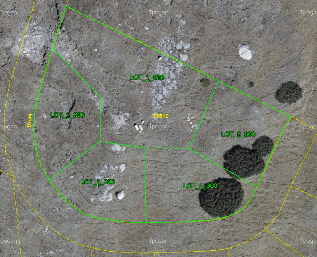 Terenuri in Bucegi, Zona Alpina Inalta, pentru dezvoltare cabane, vile turistice - 2