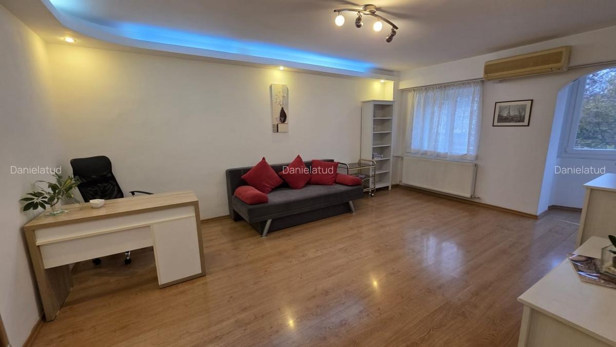 Garsoniera in Piata Victoriei - Grigore Alexandrescu - 5