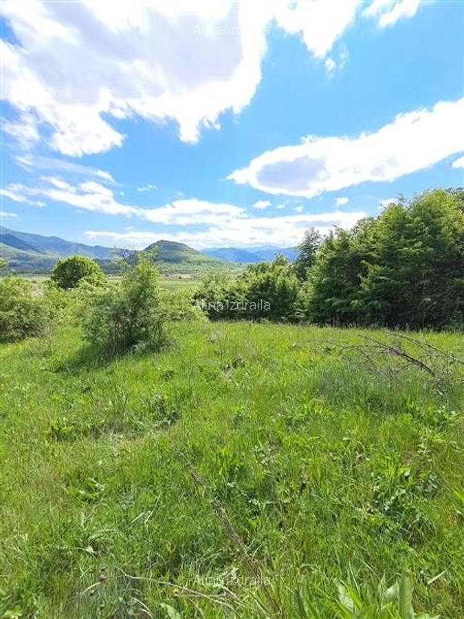 Teren  de vanzare la liziera padurii in Talmaciu - 5