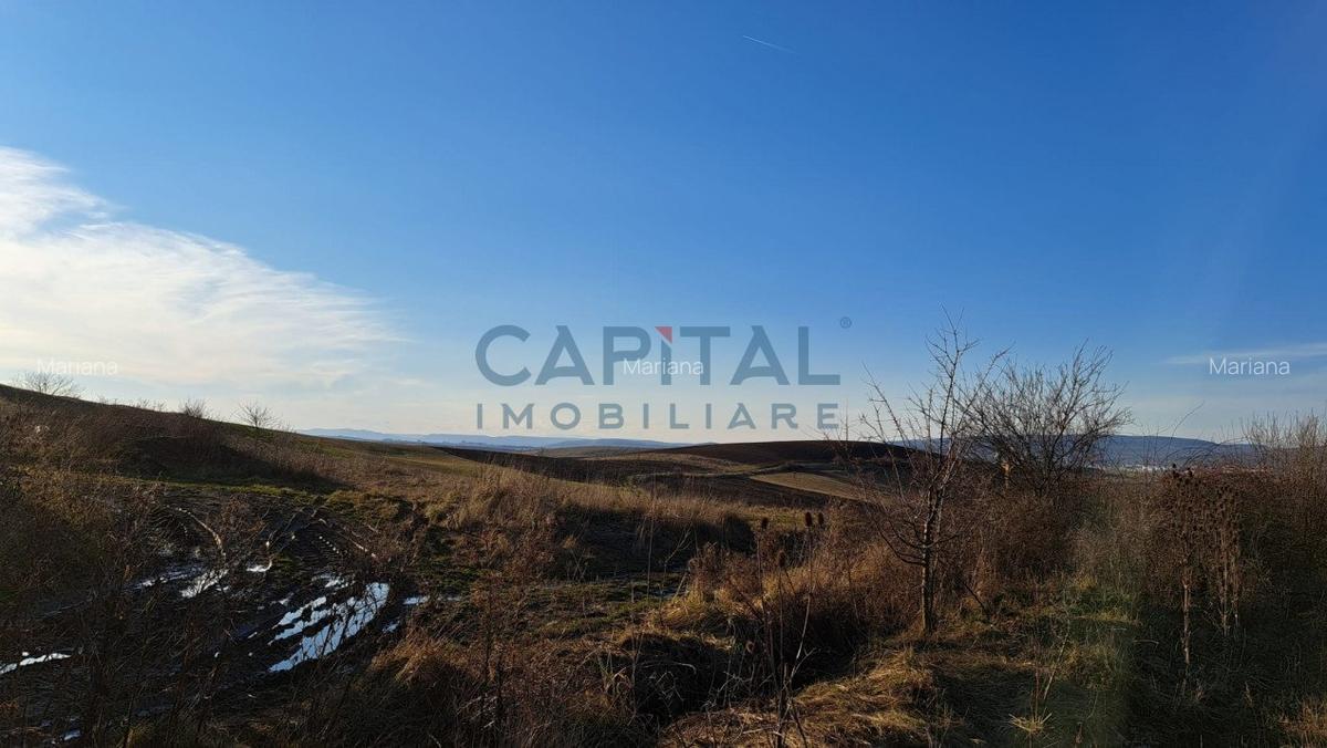 Teren extravilan 4 300 mp, expunere sudica - 2