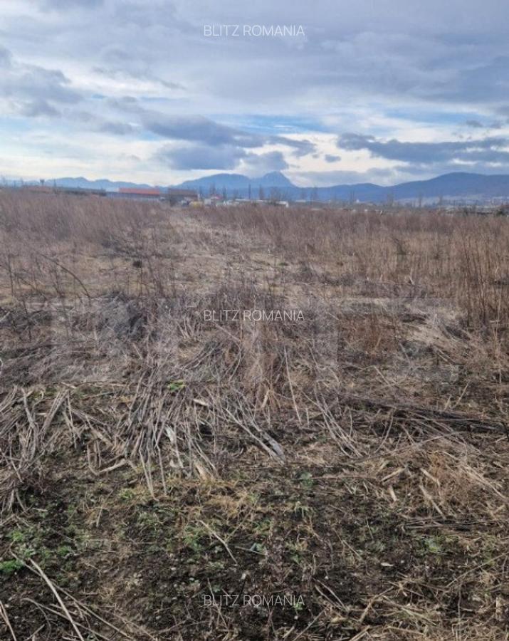 Teren de vanzare 1500 mp - intravilan Codlea - 30 euro mp - 12