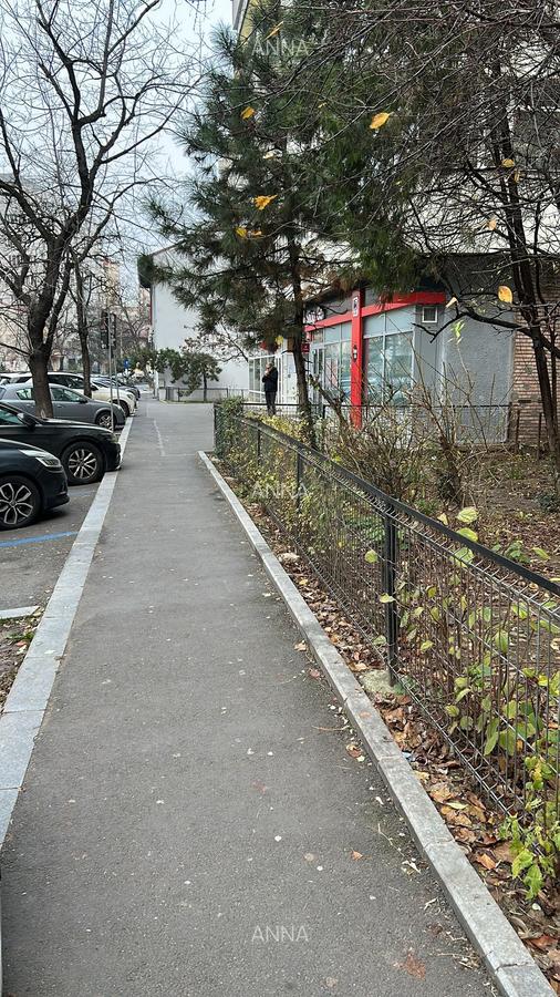 1 MAI - Banu Manta Irisa, 10 min pe jos de  Metrou Victoriei Aviatorilor - 9