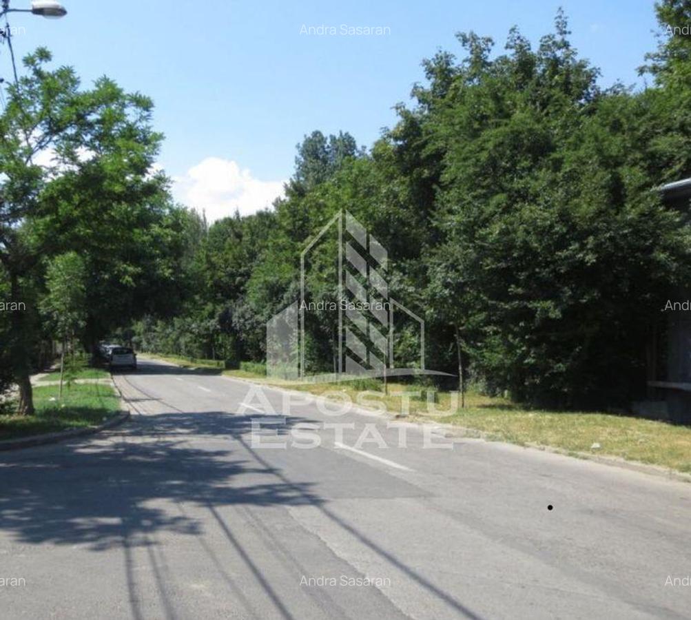 Casa individuala in Zona Fabric cu teren generos de 798 mp - 2