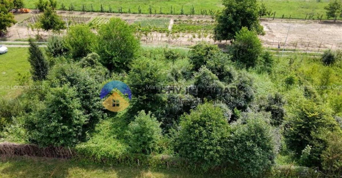 Teren intravilan com. Alexandru cel Bun- Viisoara - 18