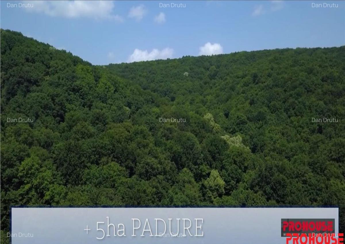 Valea Budului - Teren intravilan. Lac. Padure - 6