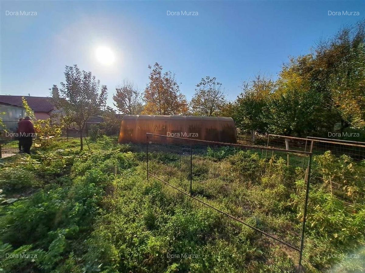 RECO Casa Arpasel - 14