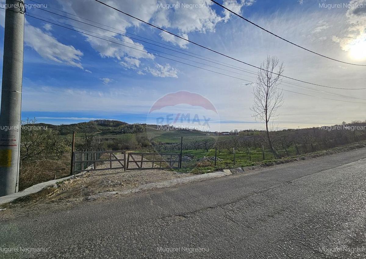 15 parcele de 1000 mp de vanzare in Breaza Prahova- toate... - 10 15 parcele de 1000 mp de vanzare in Breaza Prahova- toate... - 10