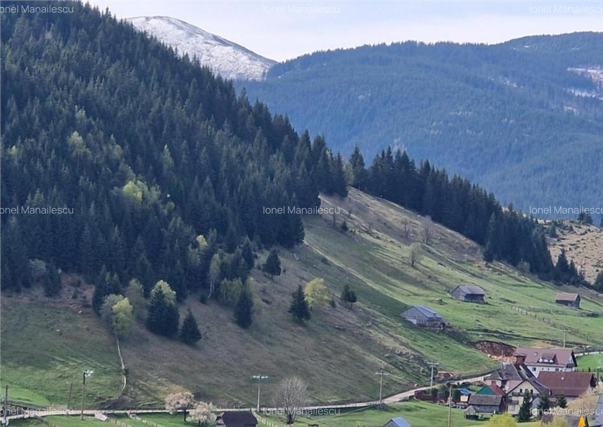 7.000 mp, pozitie spectaculoasa, fara vecini, Fundatica, Bra - 7
