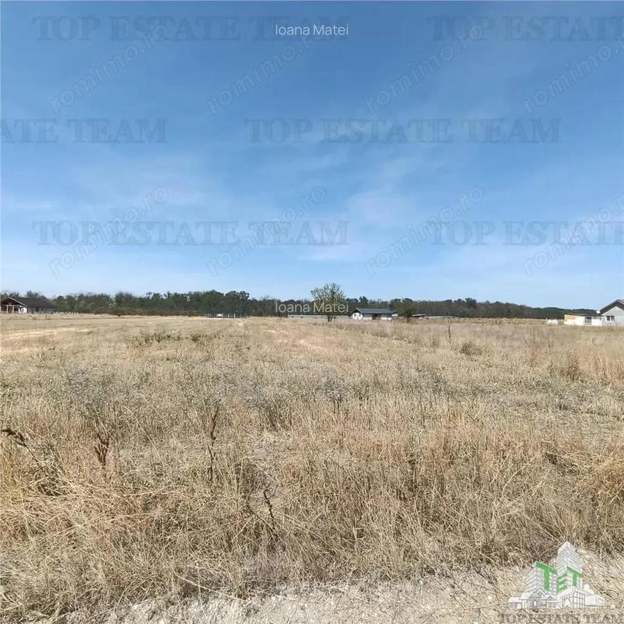 Teren intravila de vanzare Pruni Magurele - 4