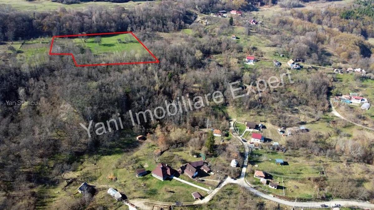 Teren 13.643 mp intravilan de vanzare in Curtea de Arge?. - 4