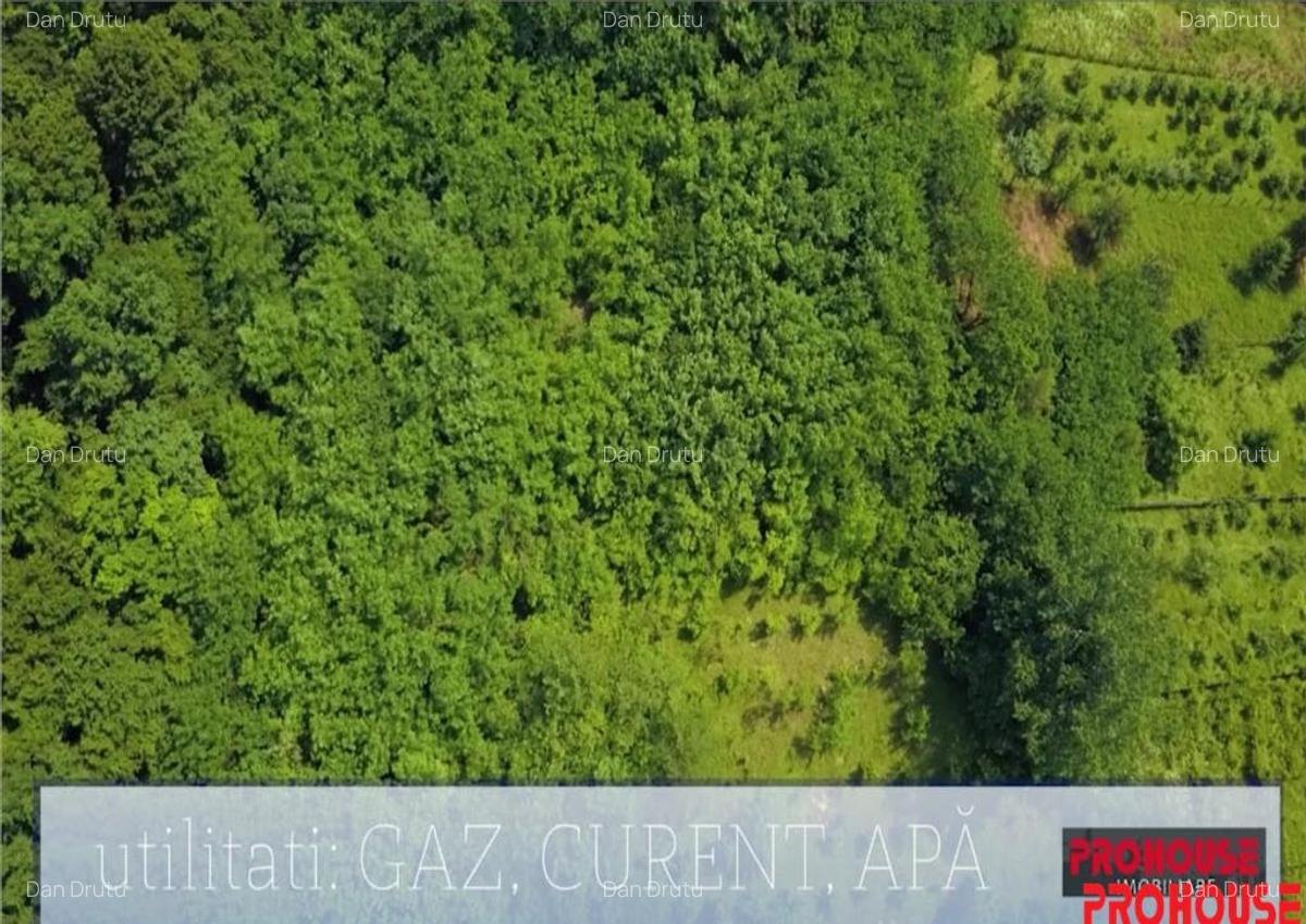 Valea Budului - Teren intravilan. Lac. Padure - 7