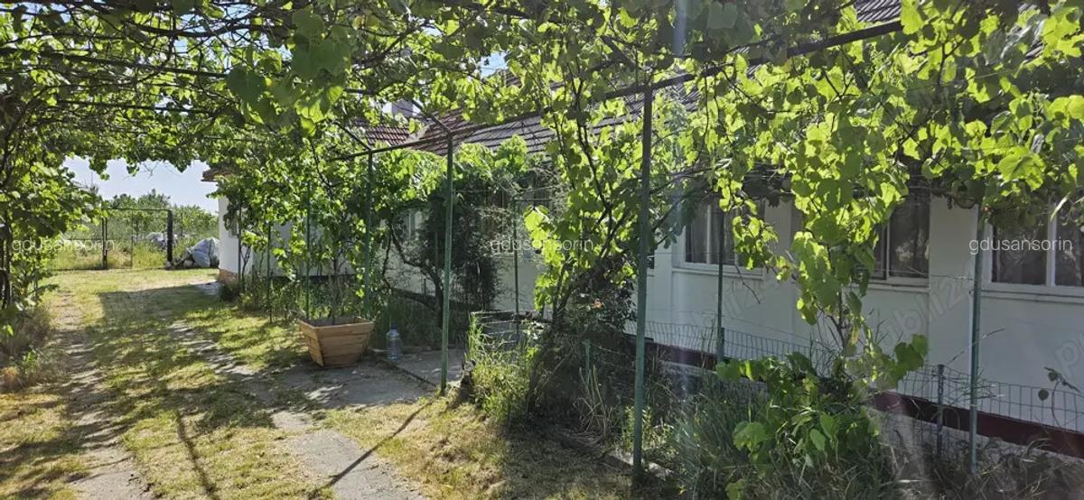 Vand casa Comuna Nitchidorf Judetul Timis - 3