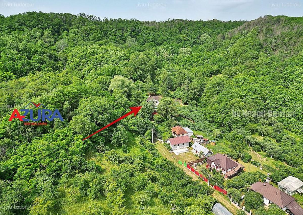 Casa de vanzare la liziera padurii Comuna Boga?i,... - 3