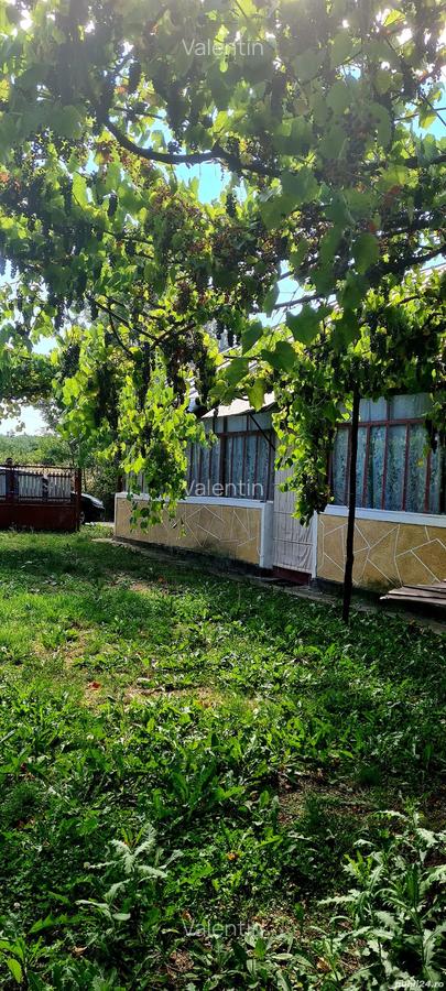 Teren cu casa in Cobia - 7