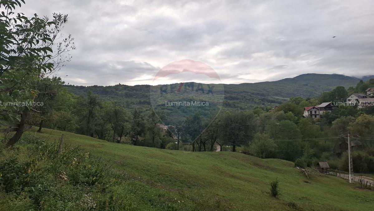 Teren cu priveliste spectaculoasa, 4000mp, la 18km de Sinaia - 4