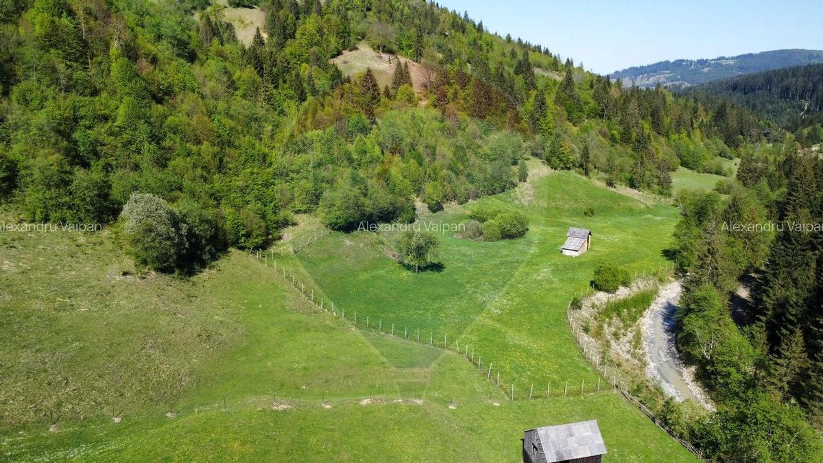 Teren 12,127mp Frasin / Drumul Forestier Valea Seaca - 1