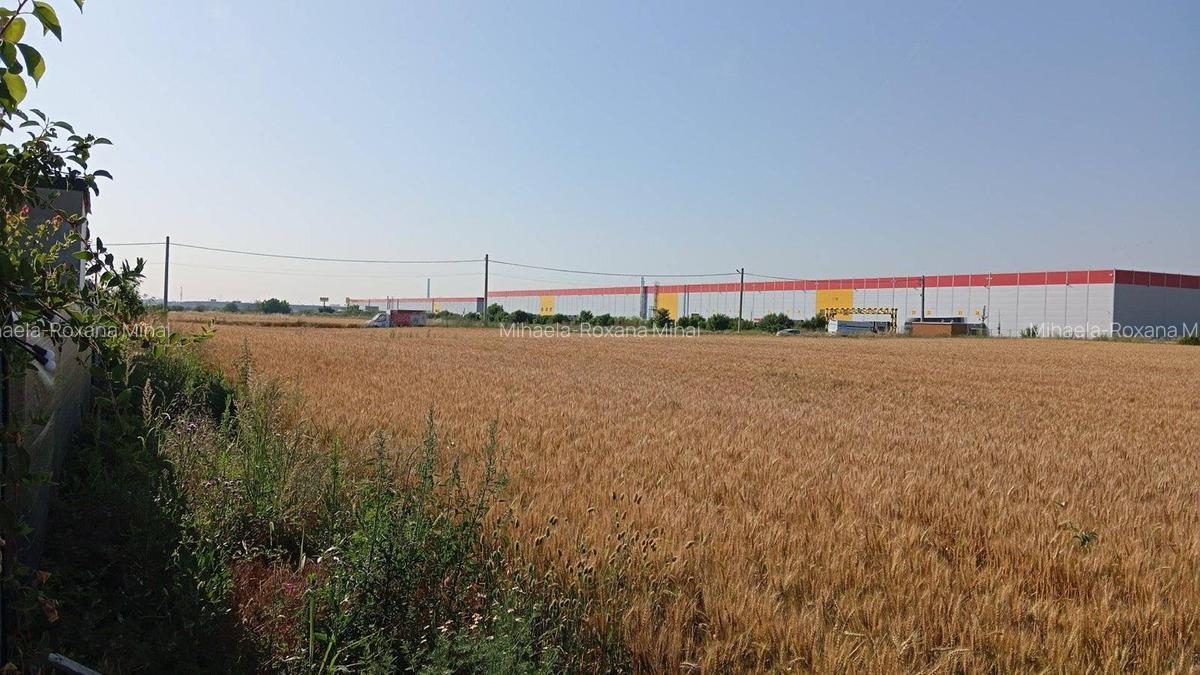 Teren de vanzare Dragomiresti Deal!!! - 2