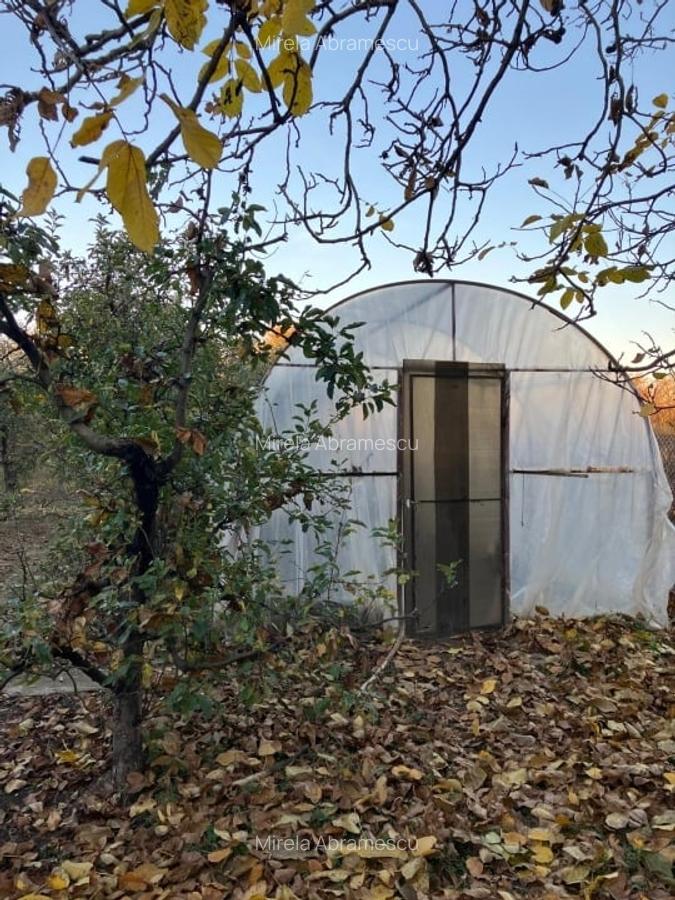 Proprietate completă în inima Dâmboviței – Casă, curte și livadă pe 1800 mp - 7