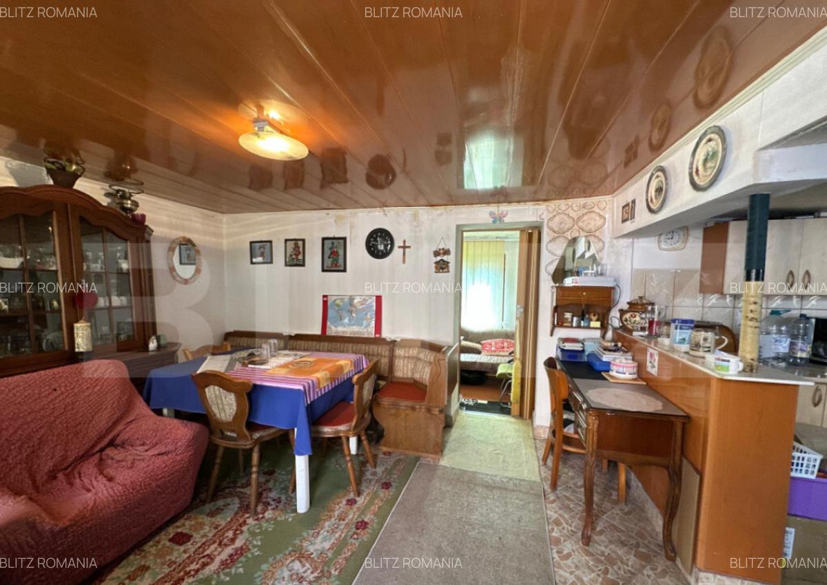 Casa saseasca de vanzare, curte, gradina, teren 3000 mp - Ji - 11