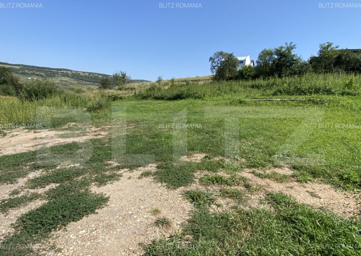 Teren intravilan, 1540 mp, 32 mp front, Corusu - 4