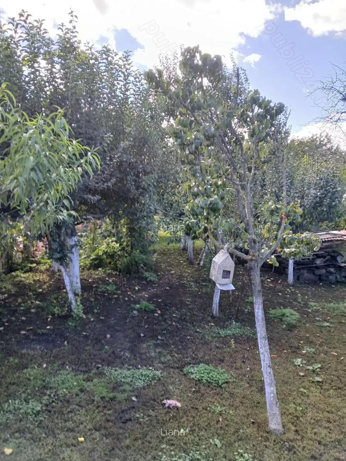 Casa de vanzare - 8 Casa de vanzare - 8