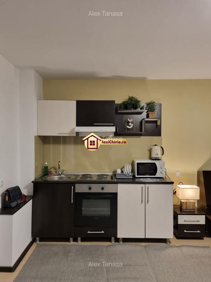 Apartament cu 2 camere semidecomandat, mobilat în Tudor Vladimirescu - 4