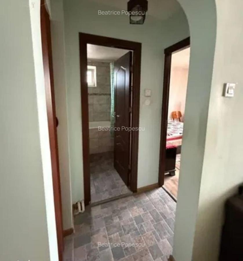 Apartament 3 camere decomandat Luica 70mp - 10