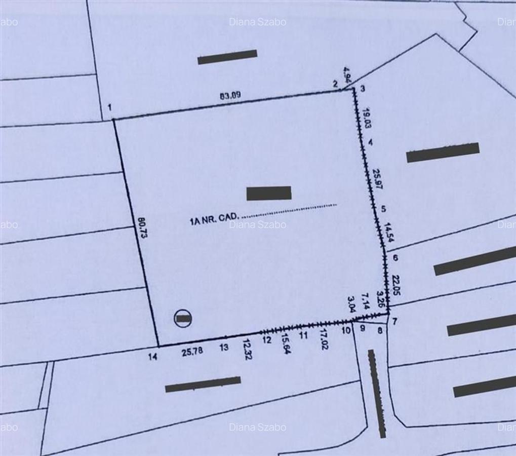 RECO teren intravilan Cefa cu proiect casa - 4