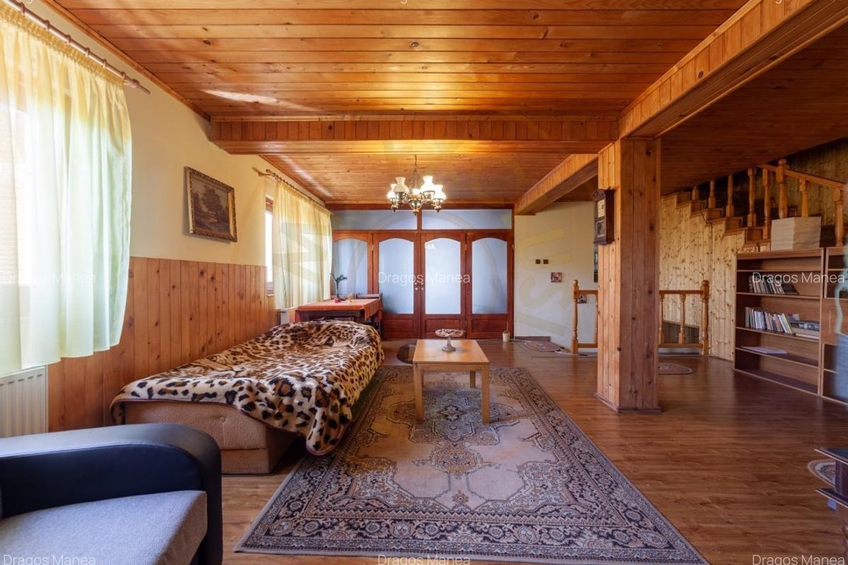 Casa rustica P+1 in zona de deal - Bogati, AG - 10