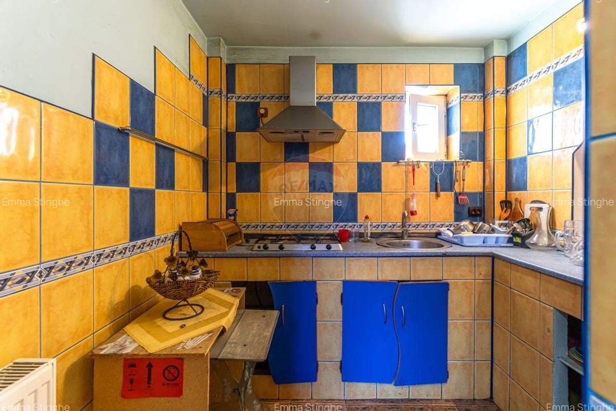 Proprietate mixta cu spatiu comercial si locuinta Strada Aurel Vlaicu - 23