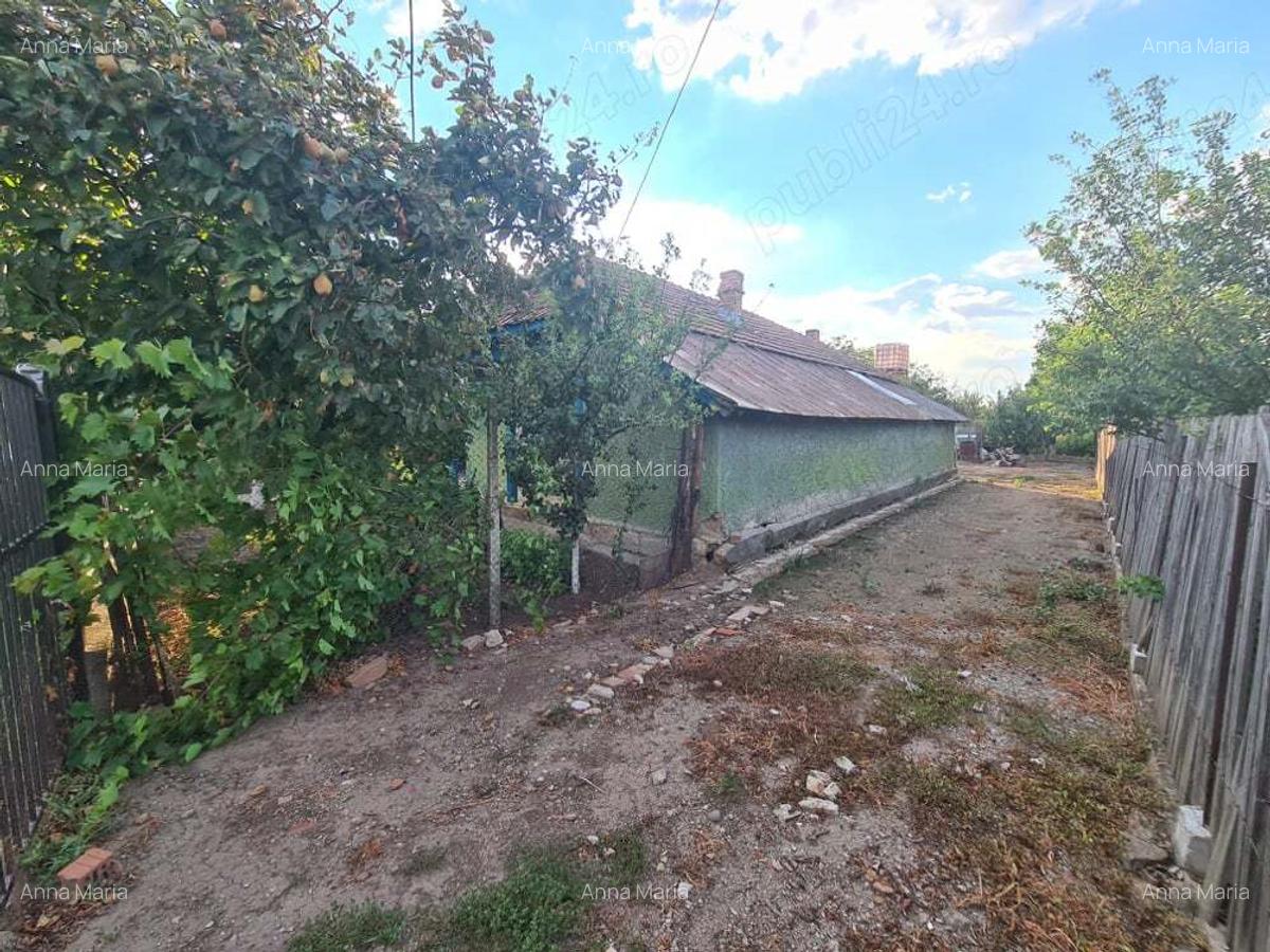 Vand casa comuna Baneasa, Giurgiu - 7