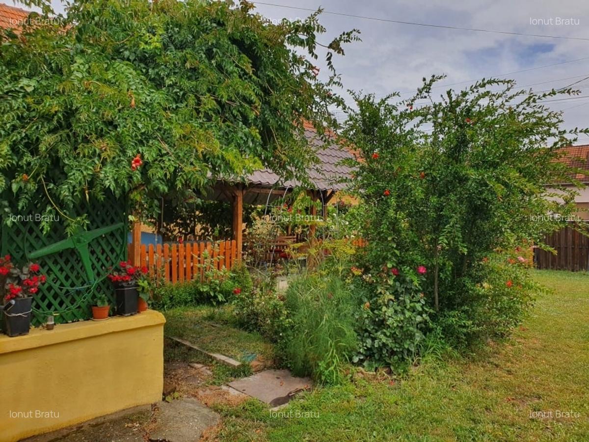 Casă spațioasă cu teren generos în Deta - 2