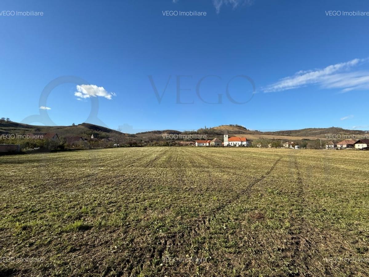 Teren intravilan de vanzare in Alma jud. Sibiu – 7.342 mp - 1