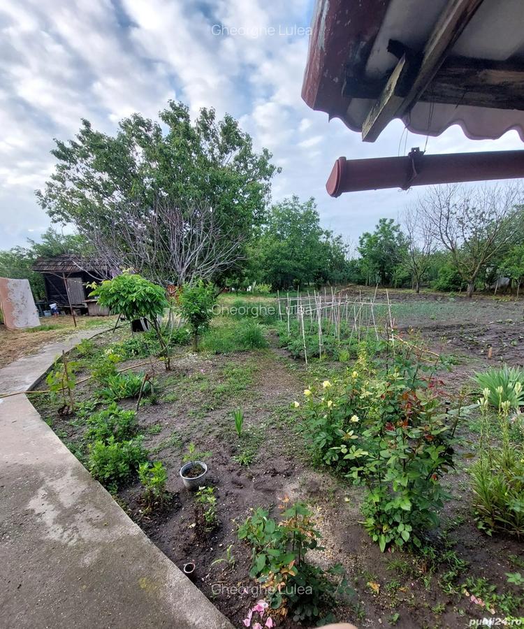 Vand casa la ?ara, Rasmire?ti Teleorman 46000e - 9