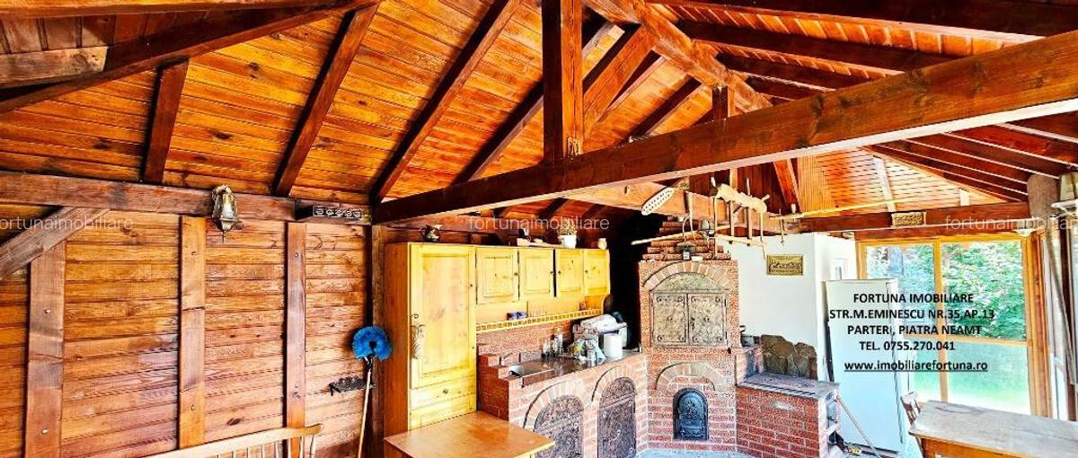 Proprietate zona Manastirea Bistrita,cadru natural, toate facilitatile - 16