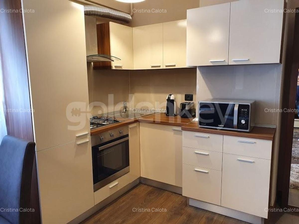 Apartament luminos cu 2 camere in zona Dorobanti - 4