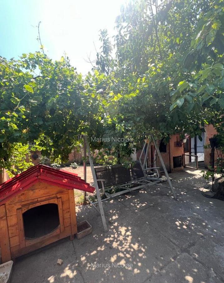 Parc Carol vila interbelica cu 5 camere 116 mp si demisol - 3
