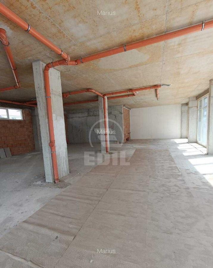 Spatiu comercial de vanzare, Terra - 7