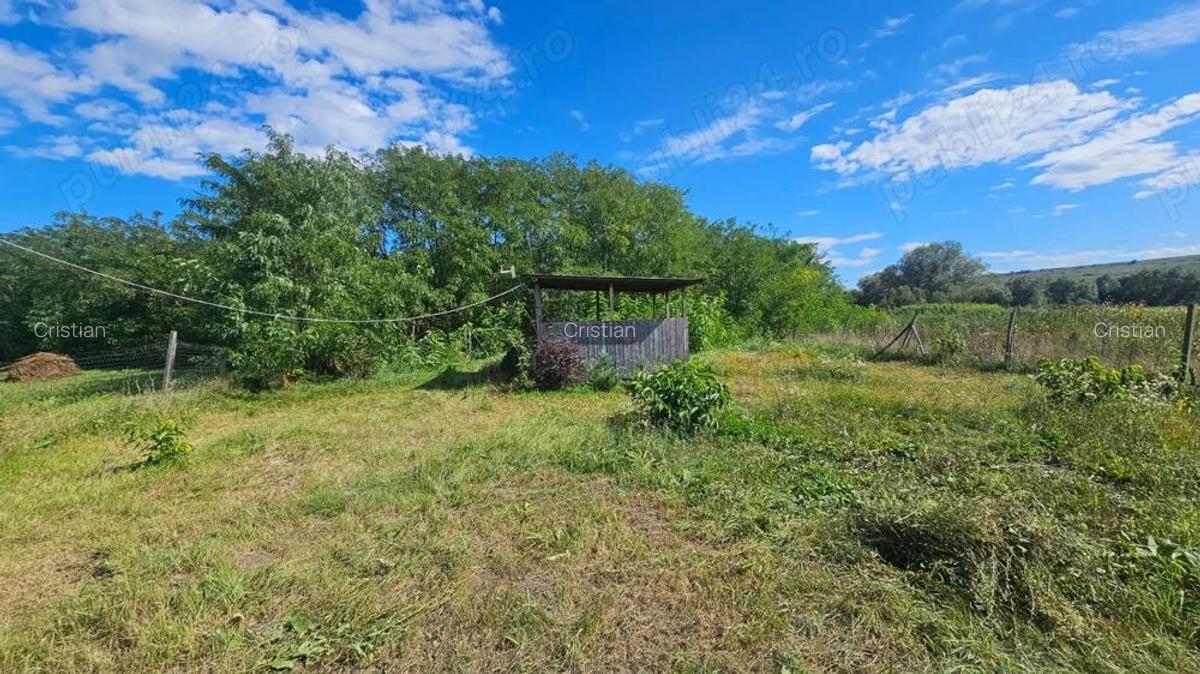 Persoana Fizica vand Teren Cluj - Borsa Catun - Intravilan 2300 mp - Extras CF - Cabana - Foisor - 4