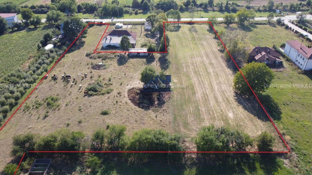 Teren intravilan de 10 614 mp cu deschidere de 59 m - Baiculesti (Comision 0%) - 4