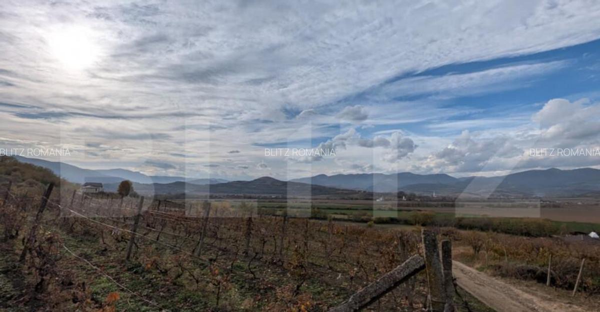 Teren pretabil pentru cabana, cu view - 2