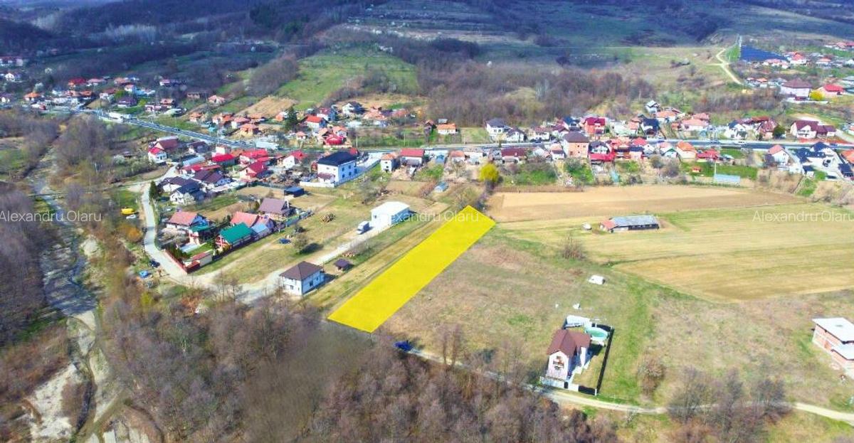 BUDESTI - TEREN 2550 MP - 6