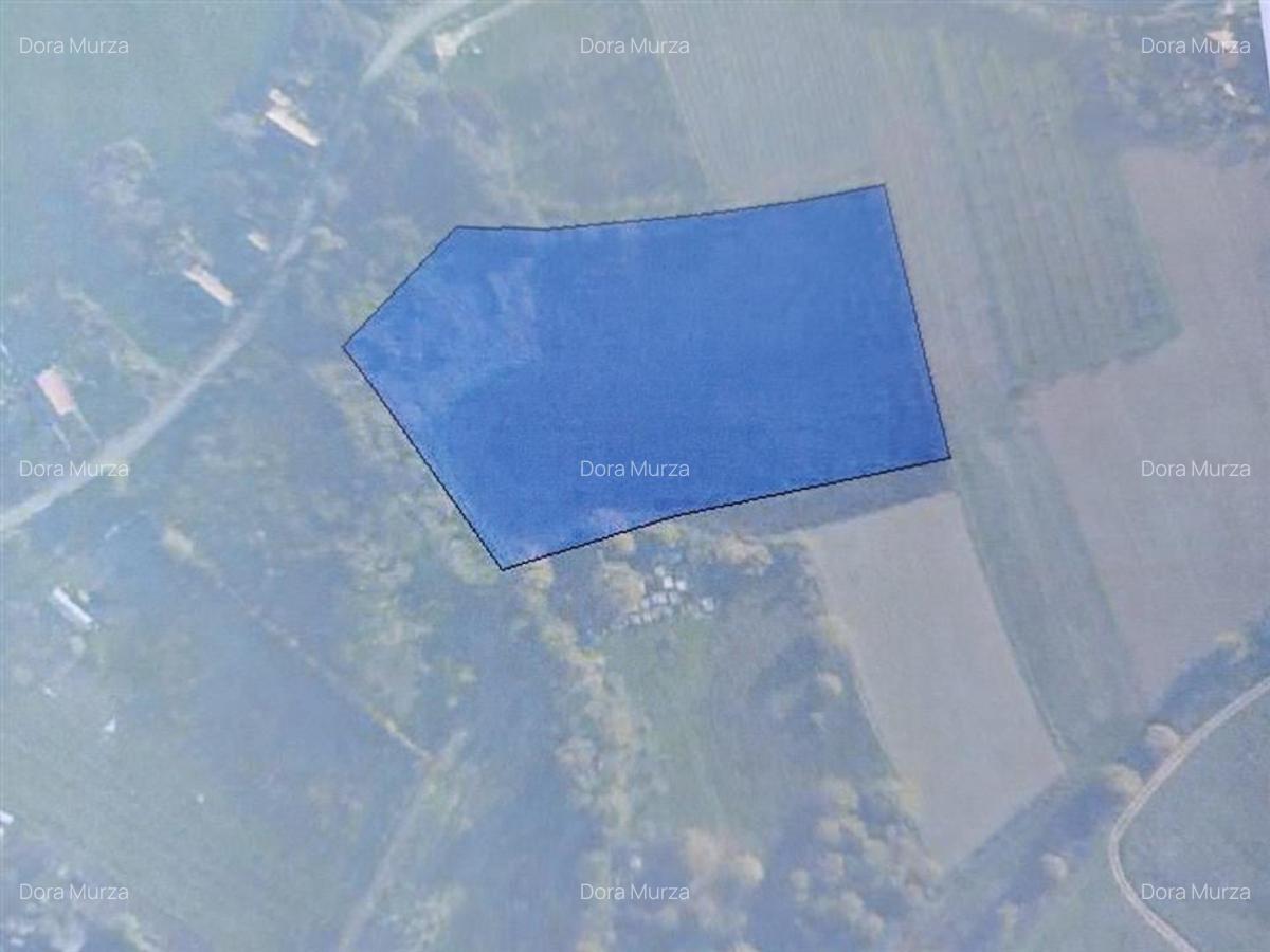 RECO teren intravilan sub 2 euro euro mp  in Izvoarele - 1